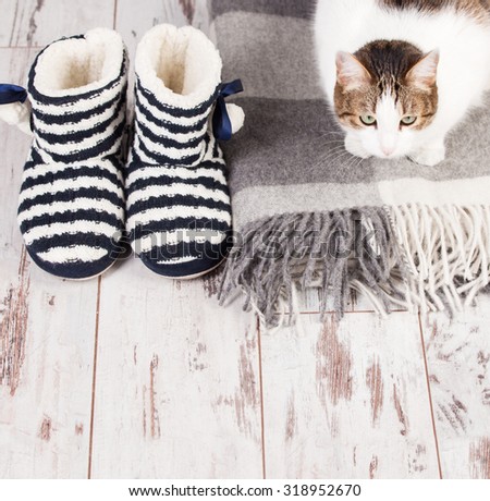 Warm slippers, rug and cat on the background old white floor. Homeliness.