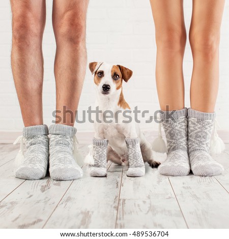 Man, female and dog in socks. Warm clothing family home