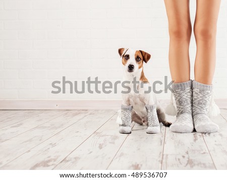 Female and dog in socks. Warm clothing family home