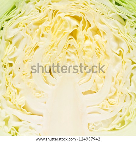 Chinese cabbage section