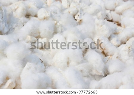 Cotton background