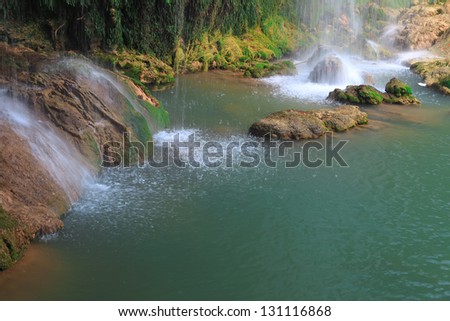 Stream ; peaceful mountain stream flows through lush forest