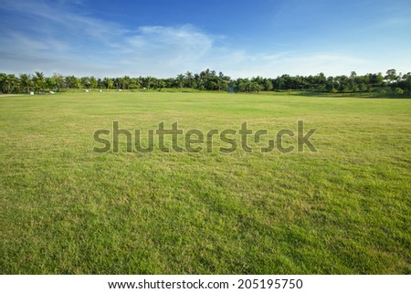 green lawn and trees in the park
