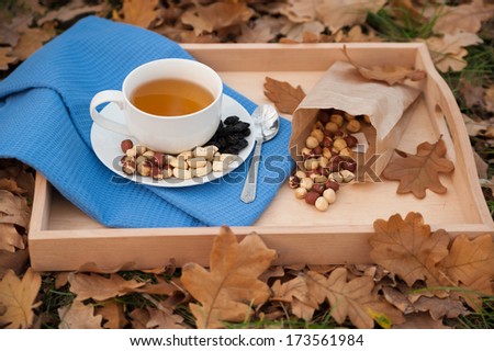 The cup of tea and the plate with hazelnuts on the napkin, standing on the tray with the foliage around