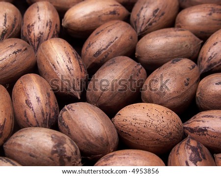 stock photo : Color photo of several pecans in the shell.
