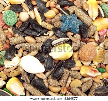 Full frame photograph of seeds and other small animal foods.
