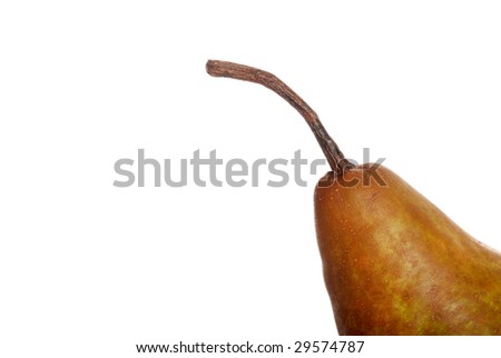 Pear Stem