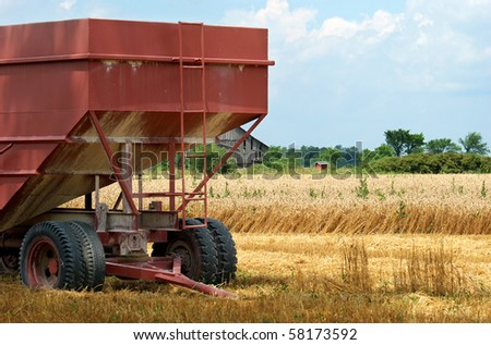 closeup farm trailer in wheat field