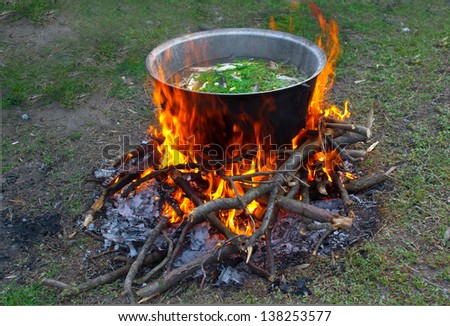 prepare tasty food over a campfire