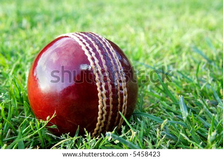 New red cricket ball on grass sporting field before play.