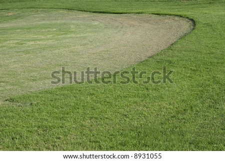 Manicured grass on a golf course green.