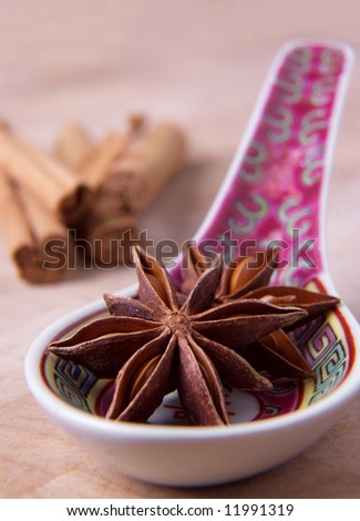 Star anise on an Asian spoon with cinnamon sticks in the background.