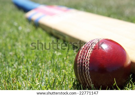 stock photo : New cricket ball and bat on green grass.