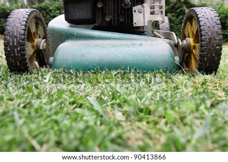 A back yard lawn mower cutting the grass.