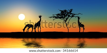 Giraffes Silhouette