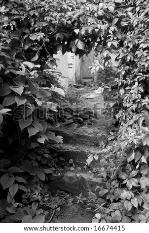Ancient stone steps in an old garden. Monochrome