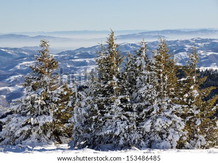 A forest and mountains in Winter Resort Kopaonik, Serbia