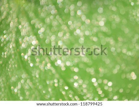 bokeh from water drop on green leaf