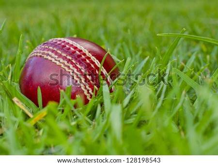 A red cricket ball laying in green grass