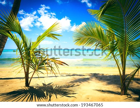 [Obrazek: stock-photo-palm-and-tropical-beach-193467065.jpg]