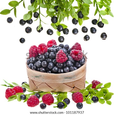 fresh forest berries : blueberries , raspberries in the basket on white