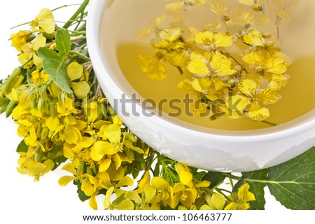 Mustard oil with flower plants close up isolated on white