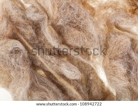 Fleece Texture