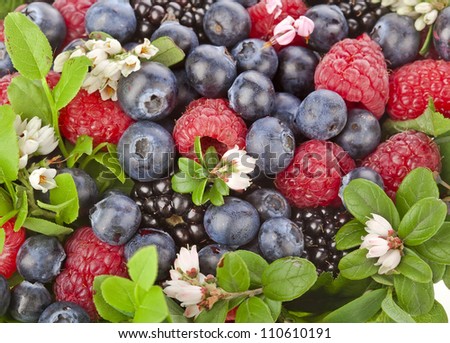 sweet forest berries with flower surface top view close up background