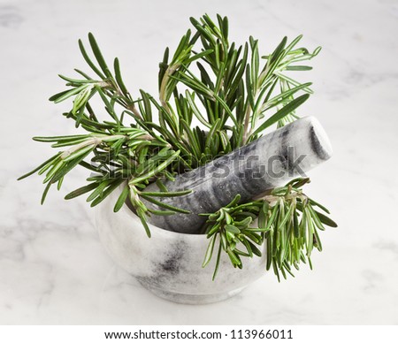 mortar and pestle with fresh rosemary herb on marble surface texture for background