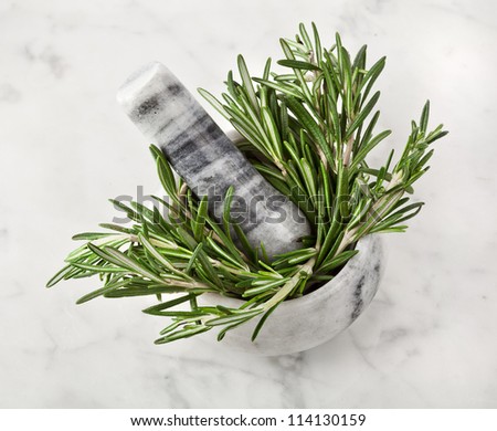 mortar and pestle with fresh rosemary herb on marble surface texture for background