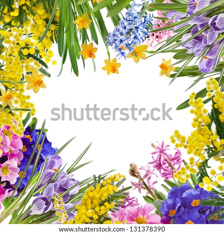 Beautiful frame of spring flowers isolated on a white