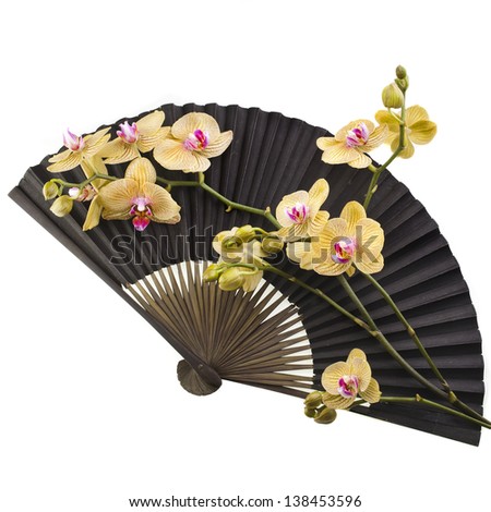 Beauty Black Japanese  Paper Fan with Fresh Flower Orchid Isolated on white background