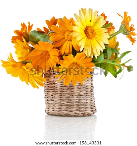 orange  rural bouquet heap of calendula in wicker basket box close up Isolated on white background