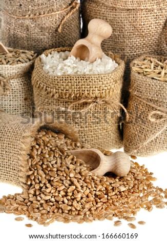 Corn kernel seed meal and grains in bags isolated on a white background