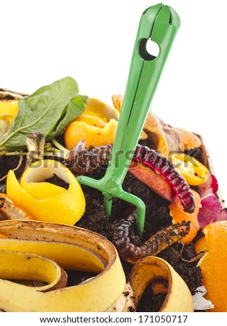 compost  pile of kitchen scraps isolated on white background