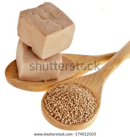 Fresh and dry yeast  in wooden spoon isolated on white background