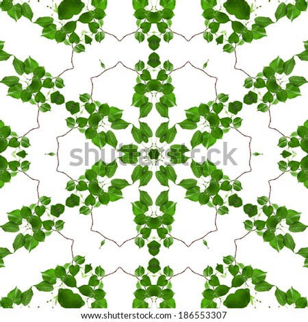 Abstract Frame Pattern of fresh green leaves isolated on white  background