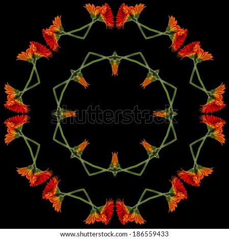 Border Frame Floral Abstract Pattern of Calendula Flowers isolated on black background