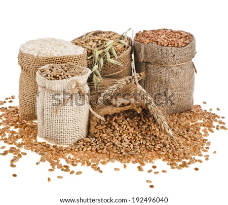Collection set of seed meal and grains in bags isolated on a white background Collection set of seed meal and grains in bags isolated on a white background