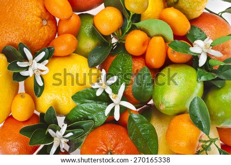 Beautiful citrus fruits mixed close up  top view background
