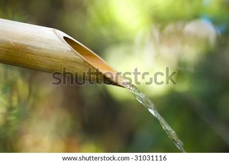Bamboo Fountain