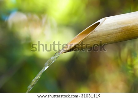 Traditional Bamboo Fountain in Japan