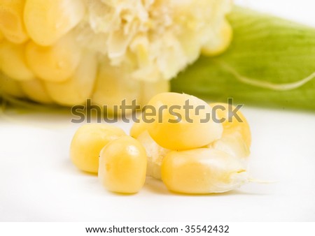 Corn ear   close up  macro  isolated on white background