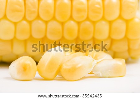 yellow  corn ear,   close up  macro  isolated on white background