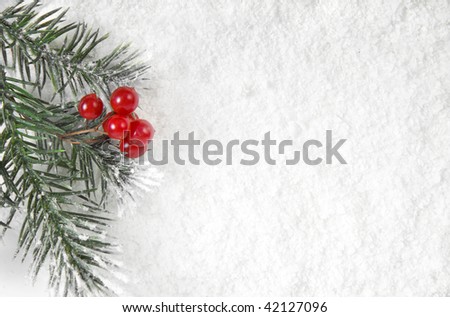 Christmas snow branch with red berries, surface top view close up