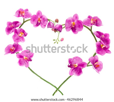 stock photo : heart from pink orchids with space for your text