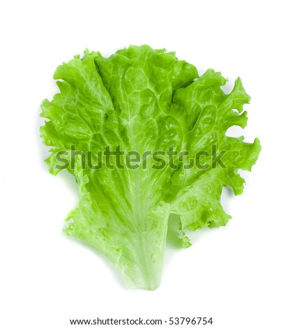 food, mixed greens clipart