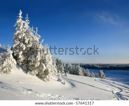 Winter mountain landscape with Christmas frozen trees