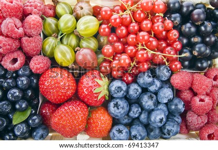 Background of assorted fresh berries mixed collection  surface close up macro shot