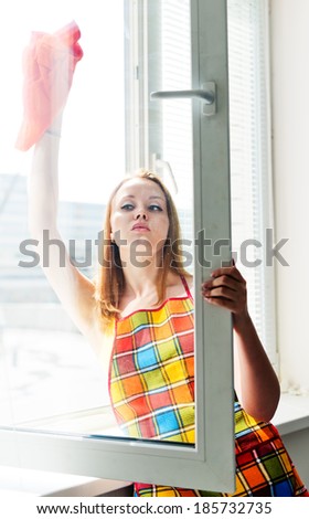 happy young woman housewife washes a window